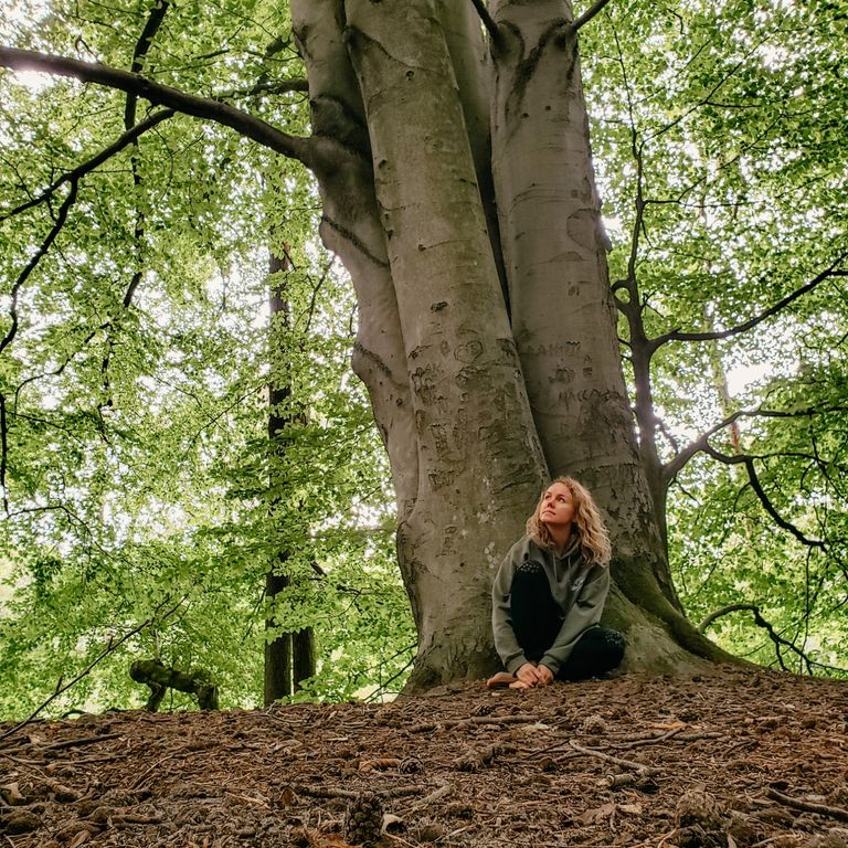 Solozeit beim Waldbaden